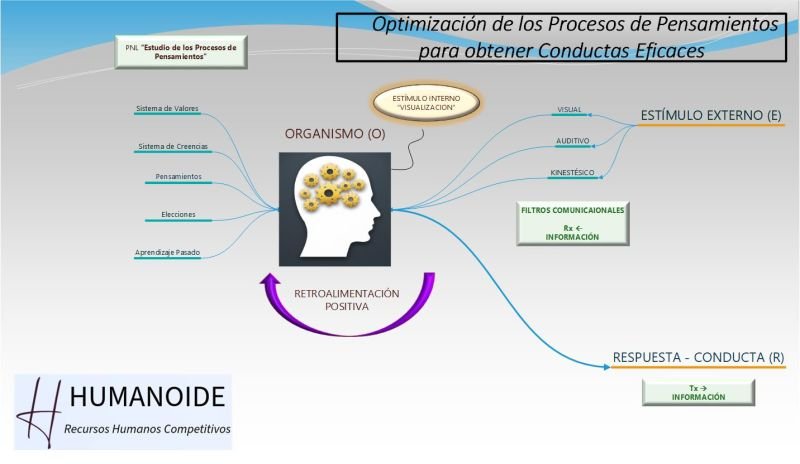 No hay descripción alternativa para esta imagen